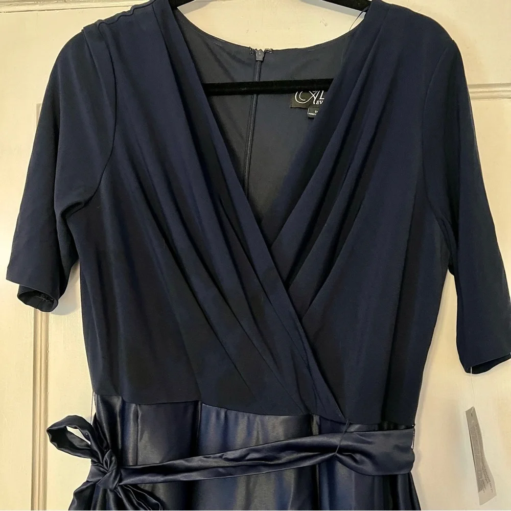 Alex Evenings Ballgown - Picture 6 of 14